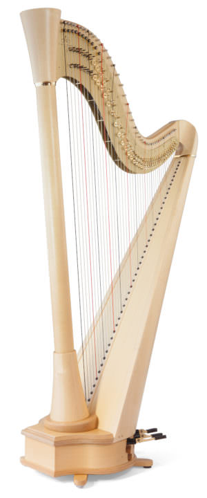 Clio Straight
